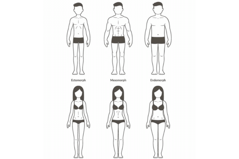 What Are The 3 Body Type And How Can They Affect Your Diet