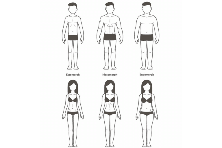 body types 1 e1599520242984