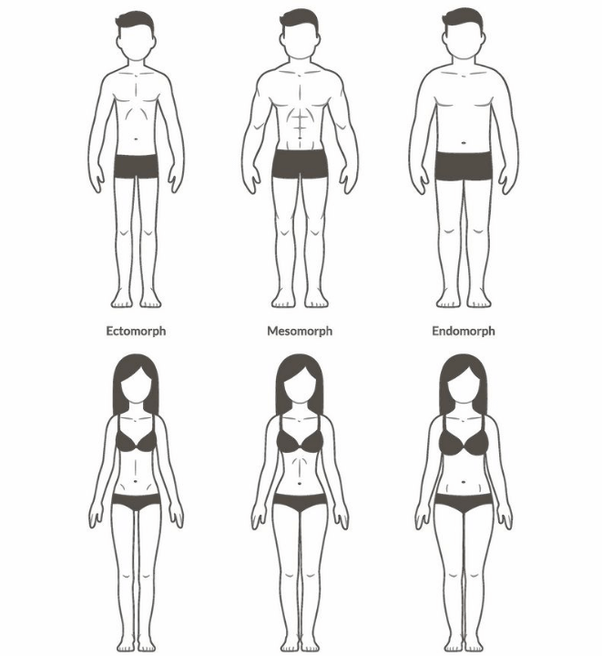 What Are The 3 Body Type And How Can They Affect Your Diet